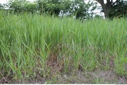 Photo of Various Textures